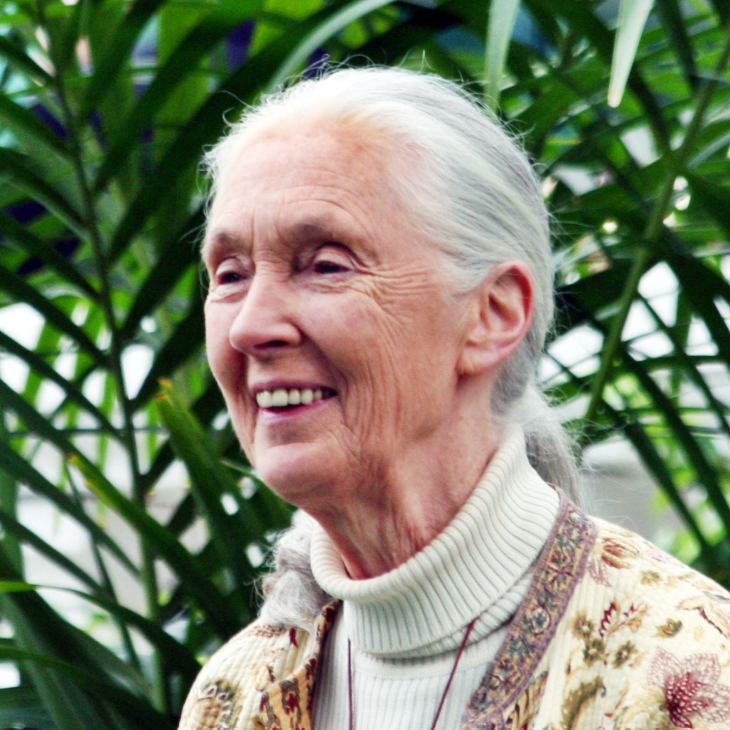 Jane Goodall